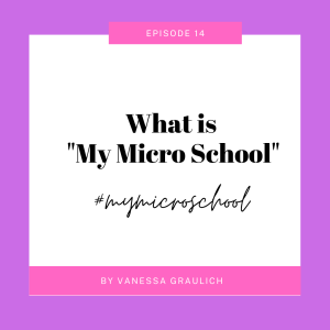 Episode 14: What is "My Micro School"?