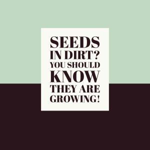 Seeds in dirt? You should know they are growing.
