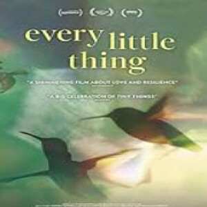 Every Little Thing - Movie Review