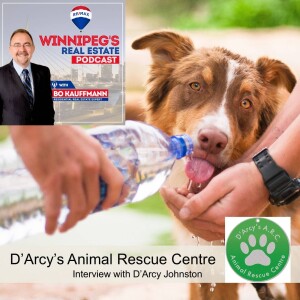 D’Arcy’s Animal Rescue Centre - Interview-History-Stories