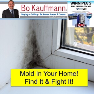 Mold in your home!  Where to look for it & How to fight it!