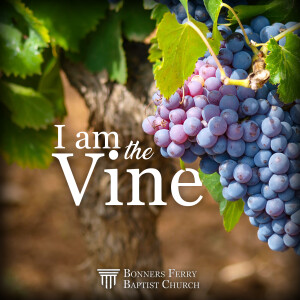 Sunday Morning - I Am the Vine (Message 2/ Part 1)