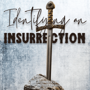Sunday Evening - Identifying an Insurrection