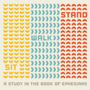 SIT⇩ WALK⇨ STAND⇧: "The Case of Forgotten Identity" – Rev. Dr. Christy Lipscomb