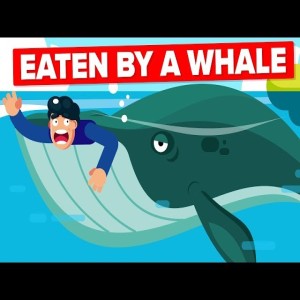 041 Eaten by a Whale