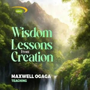 Wisdom Lessons From Creation