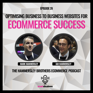 Optimising Business To Business Websites For Ecommerce Success