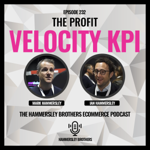 Ecommerce: The Profit Velocity KPI