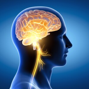 148: The Vagus Nerve: Buzzword or Biology? (with Til Luchau & Whitney Lowe)