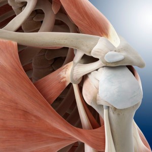 37: Shoulder Pain, Impingement, & Rotator Cuff Issues: The Most Common of Problems