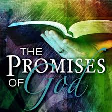 The Promise of Life & How to Have It