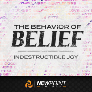 Indestructible Joy | The Behavior of Belief