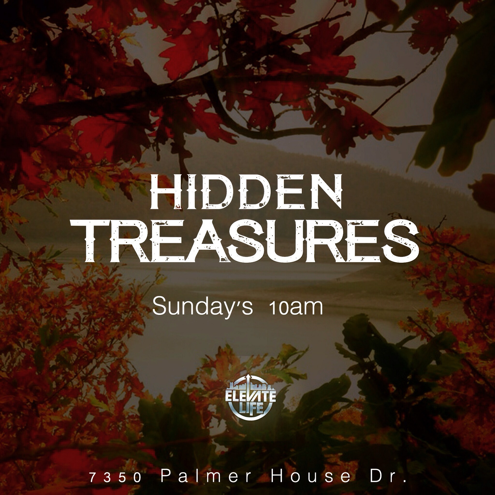 Hidden Treasures PT. 4