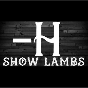 Bar H Show Lambs with Hadley Seider