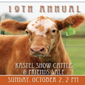 Kastel Show Cattle and Friends