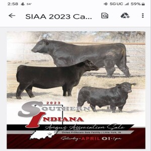 Southern Indiana Angus Association - April 1, 2023