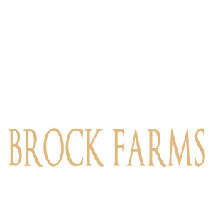 Brock Farms 3rd Annual Open House