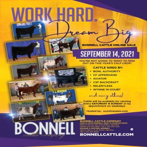 Bonnell Cattle Company with Michael Bonnell