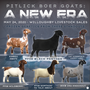 Pitlick Boer Goats "A New Era" Online Sale ~ May 24th