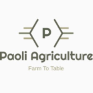 Paoli Agriculture Farm to Table Show Pig Sale