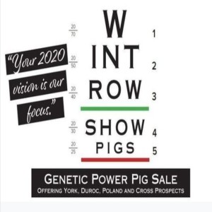 Wintrow Show Pig Sale, with Chris Wintrow