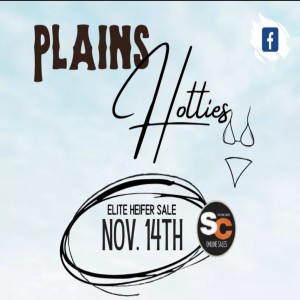 Plains Hotties Elite Heifer Sale with Cole Ridnour