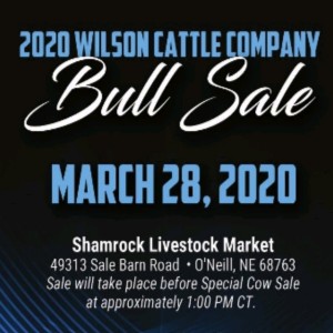 Wilson Cattle Company Bull Sale, With Chad Wilson