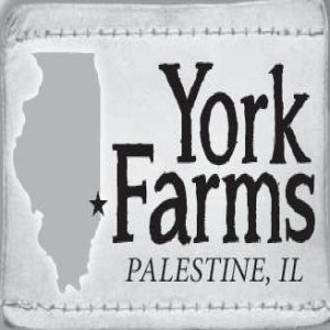 York Farms with Joel York