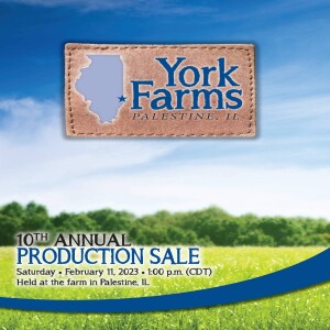 York Farms 10th Annual Production Sale