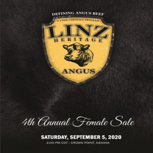 Linz Heritage Angus Female Sale with Glen Davis