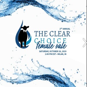 The Clear Choice Female Sale with Jon Jordon
