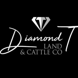 Diamond T Land & Cattle with Jon Davis