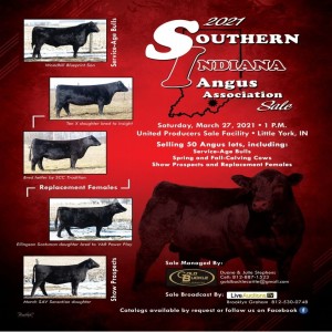 Southern Indiana Angus Association Sale