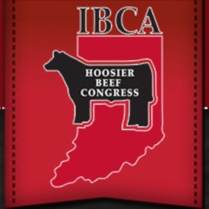 2019 Hoosier Beef Congress Sale Cattle with Jon Jordon