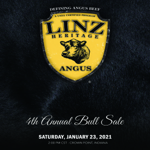 Linz Heritage Angus Bull Sale 2021