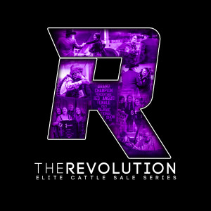 The Revolution - October 2022