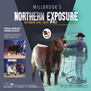 Millbrook's Northern Exposure vol. 1 with Stacy Young