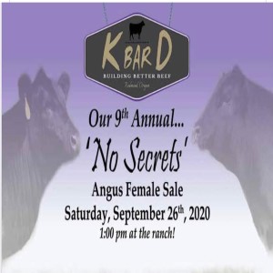 K - D "No Secrets Sale, September 26, 2020