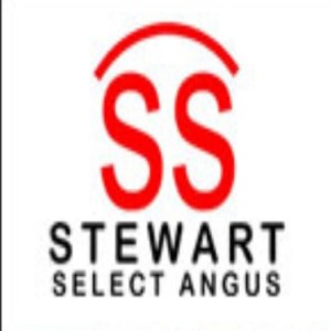 Stewart Select Angus Sale April 6, 2020