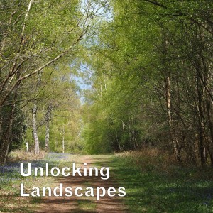 Looking for cuckoos in the Sussex Weald | birdsong walk