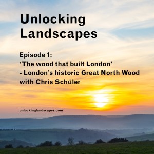 London's historic Great North Wood with Chris Schüler