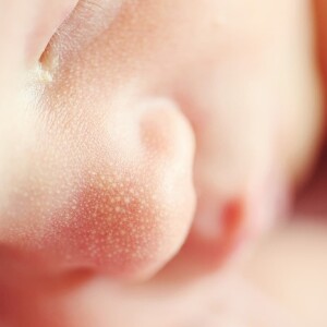 L’importance du microbiote du nourrisson.