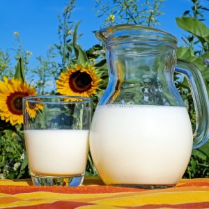Protéines végétales: Quand les coopératives laitières s‘y mettent...