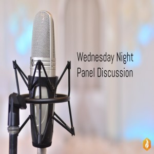 Wednesday Night Panel Discussion