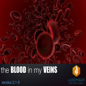 Blood In My Veins