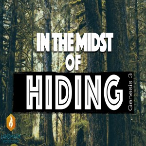 In The Midst of Hiding