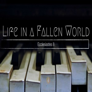 Life In A Fallen World