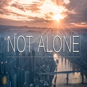 Not Alone