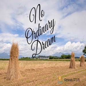 No Ordinary Dream