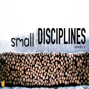 Small Disciplines